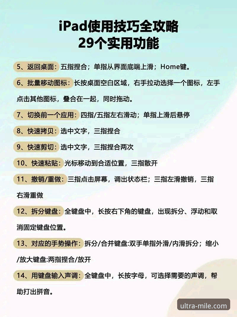 7个资深用户才知道的米乐M6官网使用技巧，助你畅享极致体育体验